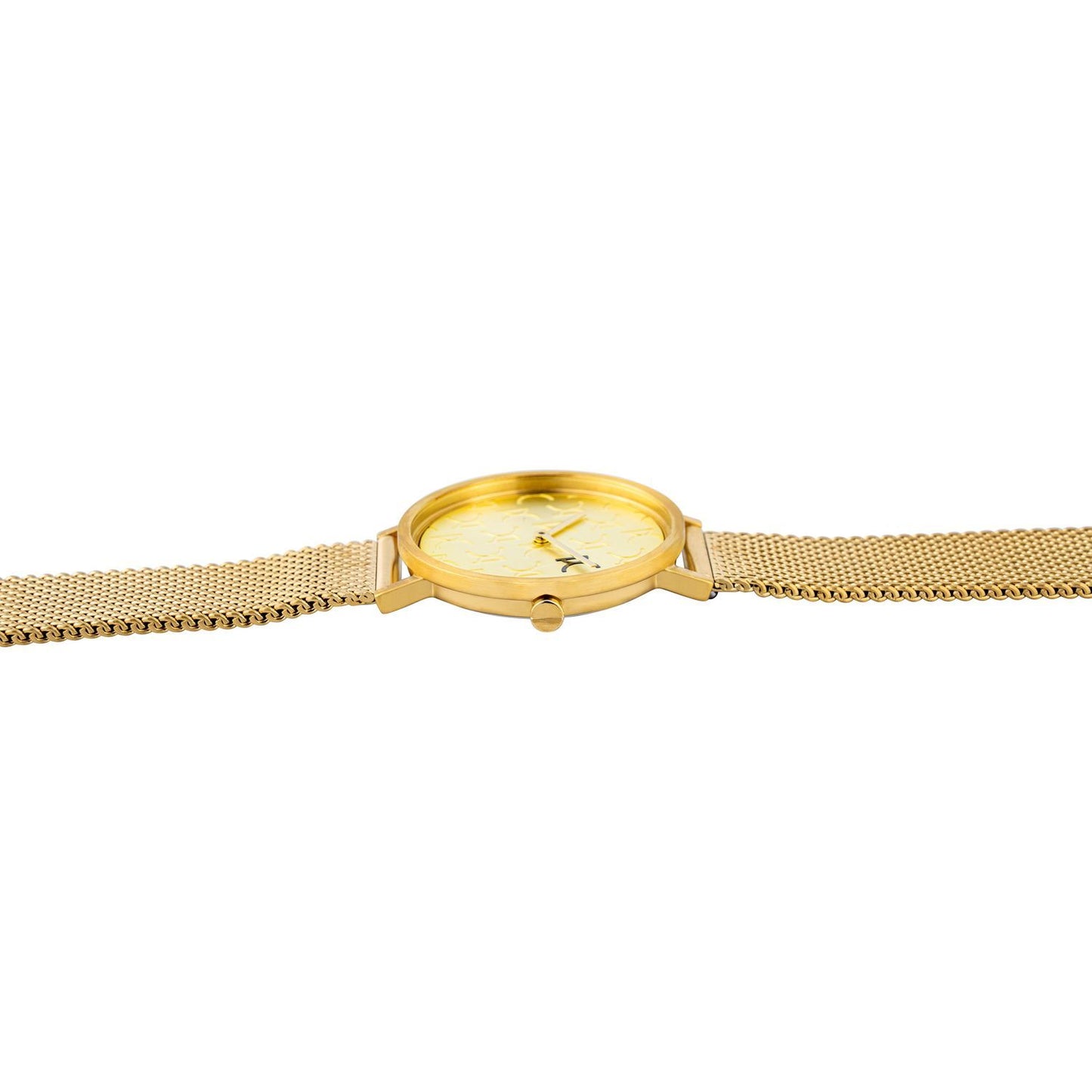 Pierre Cardin Gold Women Watch Pierre Cardin