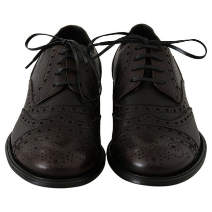 Dolce & Gabbana Brown Leather Wingtip Derby Formal Shoes