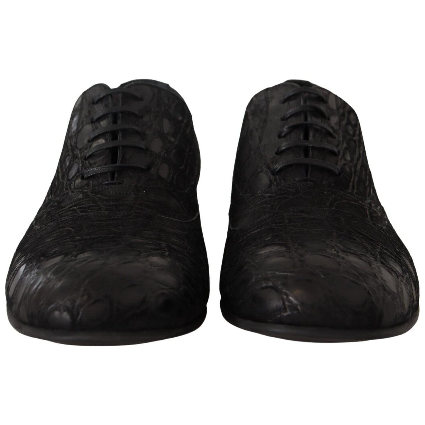 Dolce & Gabbana Elegant Exotic Leather Oxford Shoes Dolce & Gabbana