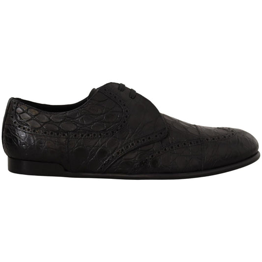 Dolce & Gabbana Exquisite Exotic Leather Derby Shoes Dolce & Gabbana