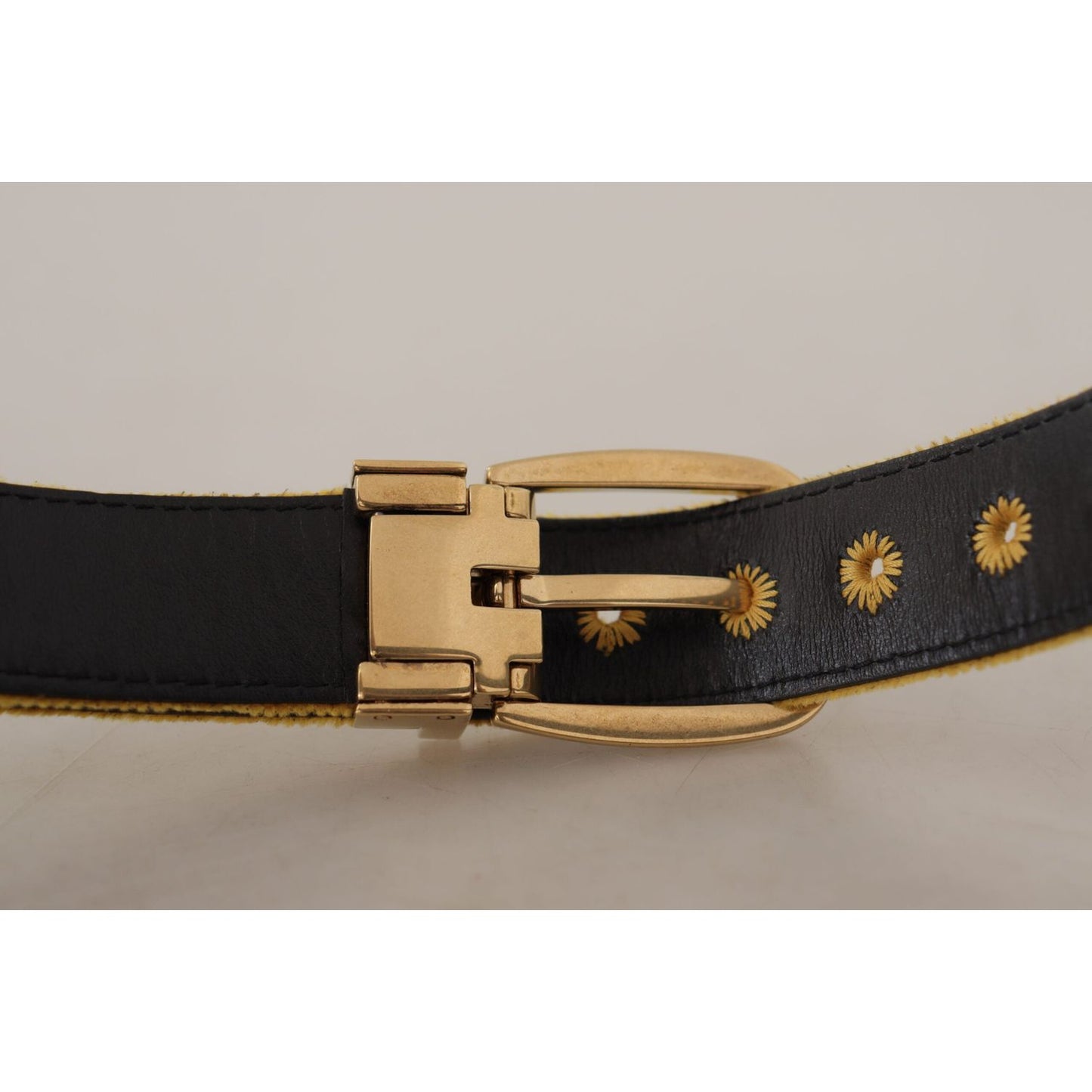 Dolce & Gabbana Elegant Velvet Gold Buckle Women's Belt Dolce & Gabbana