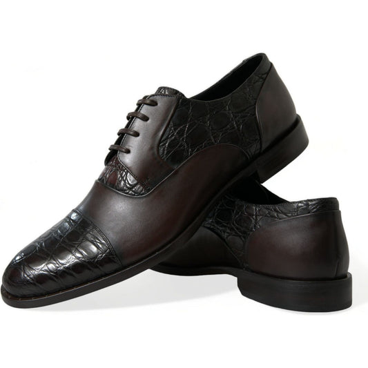 Dolce & Gabbana Elegant Brown Formal Derby Dress Shoes Dolce & Gabbana