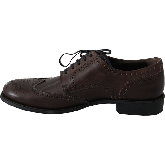 Dolce & Gabbana Elegant Brown Leather Derby Brogues Dolce & Gabbana