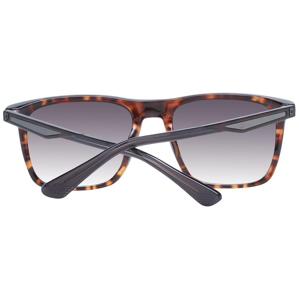 Police Brown Men Sunglasses