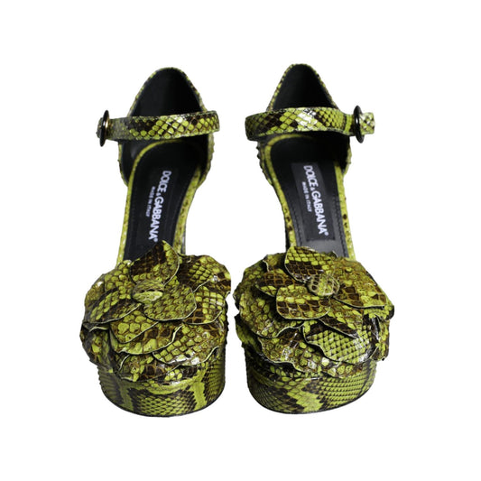Dolce & Gabbana Green Exotic Leather Ankle Strap Heels Sandals Shoes
