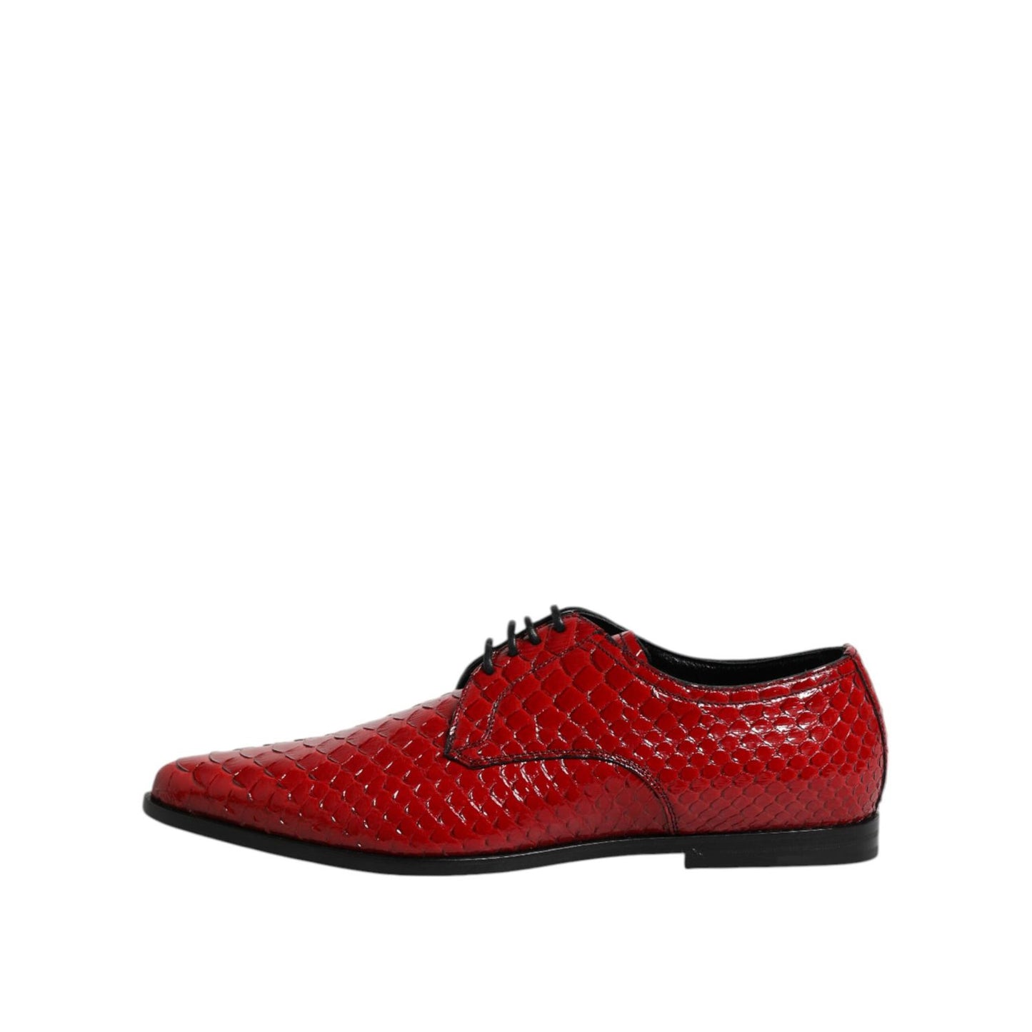 Dolce & Gabbana Red Exotic Leather Lace Up Dress Derby Shoes